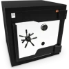 DOMINATOR FX SERIES MAXIMUM SECURITY SAFE FX-80 Safes & Key Storage